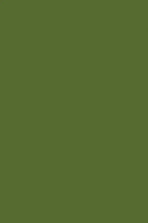 Olive-green placeholder